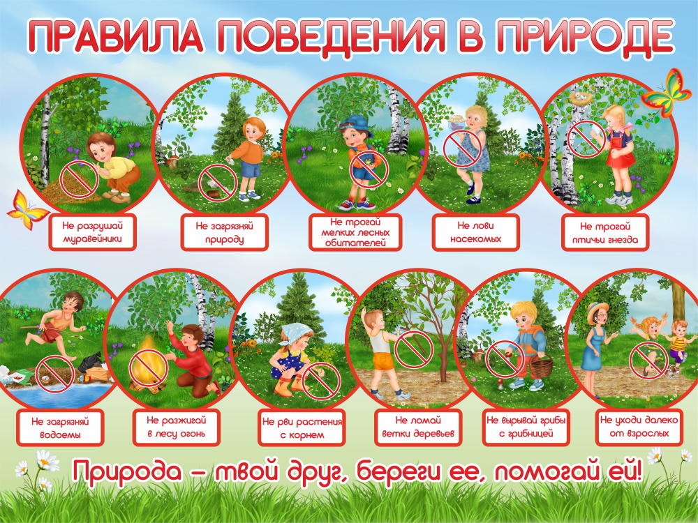 картинка Стенд "Правила поведения в природе" 80х60 см. (В00001) от магазина ДетсадЯр
