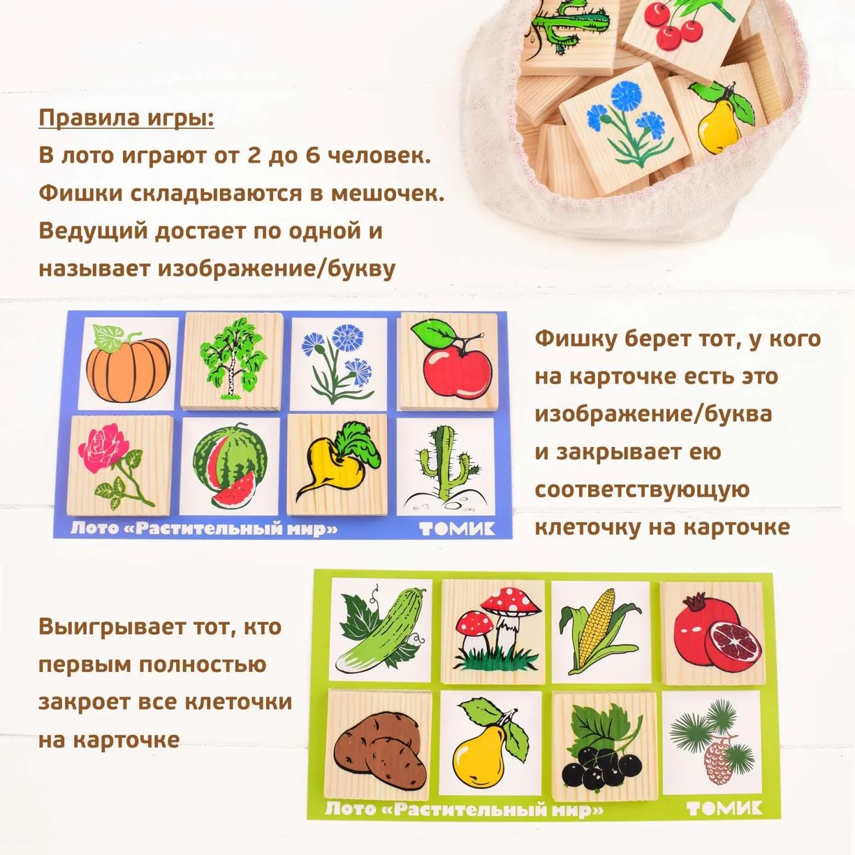 картинка Лото Растительный мир 48 штук, Томик, 6-2222-1 от магазина ДетсадЯр