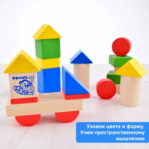 картинка Конструктор цветной 43 деталей Томик от магазина ДетсадЯр