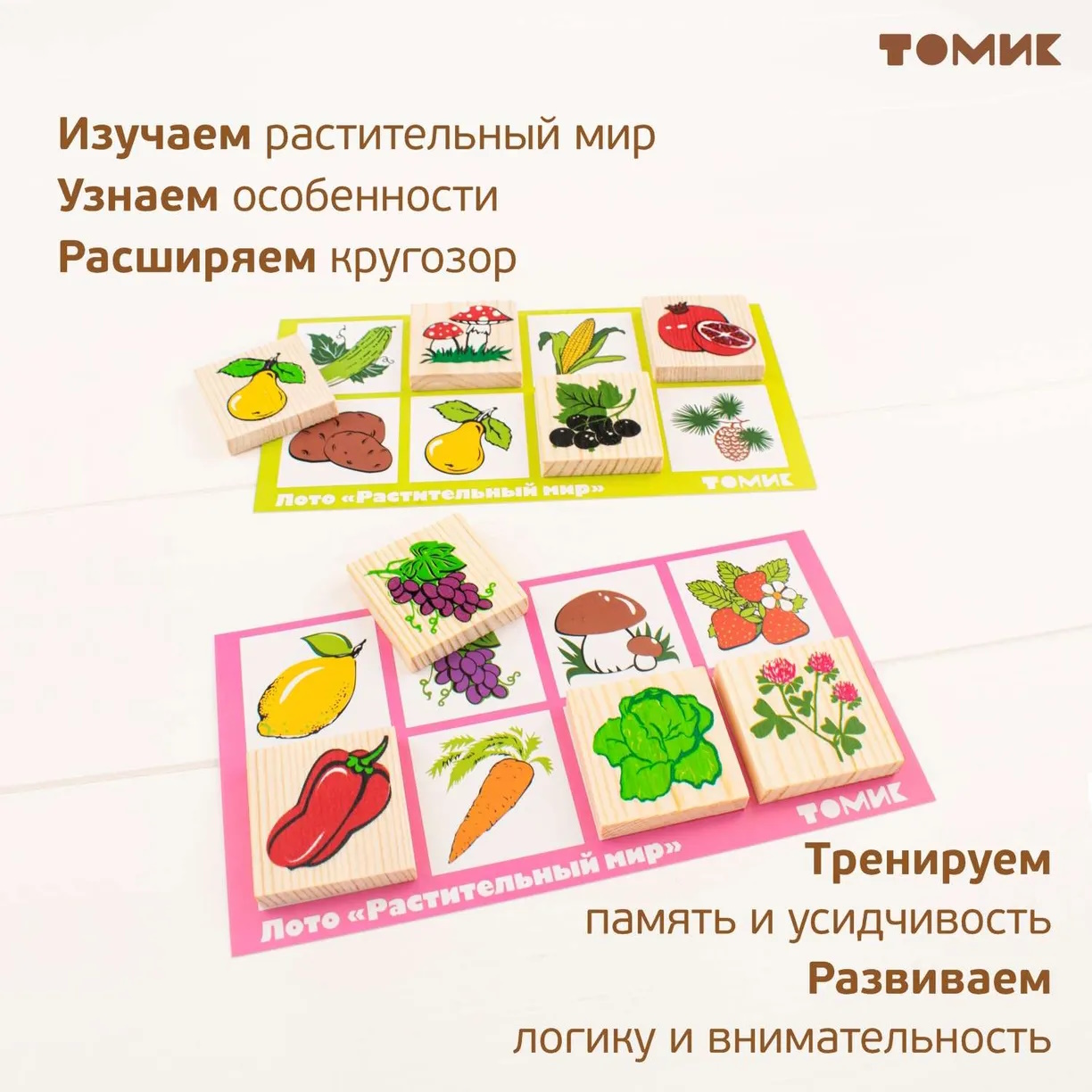 картинка Лото Растительный мир 48 штук, Томик, 6-2222-1 от магазина ДетсадЯр